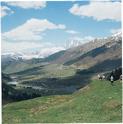 Green valley